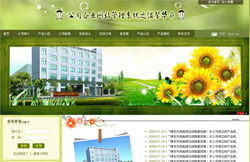 嵊州專業(yè)網(wǎng)站建設(shè)與淘寶網(wǎng)店裝修一站式服務(wù)